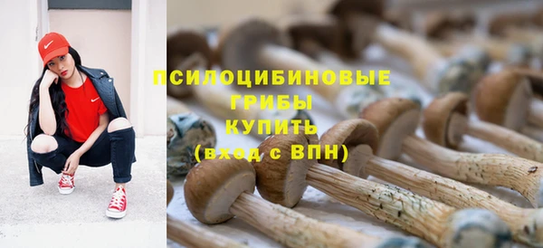 тгк Алексеевка