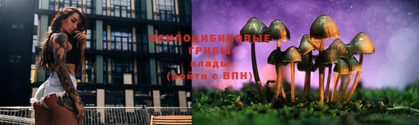 каннабис Алзамай