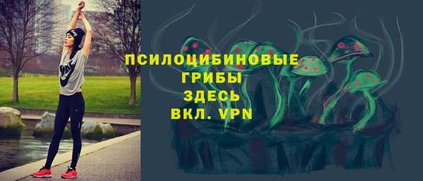 тгк Алексеевка