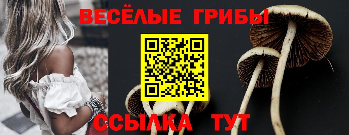Нурлат  Псилоцибиновые грибы GOLDEN TEACHER  закладка  Вход с VPN 